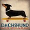 Dachshund Longboards Poster Print by Ryan Fowler - Item # VARPDX13221